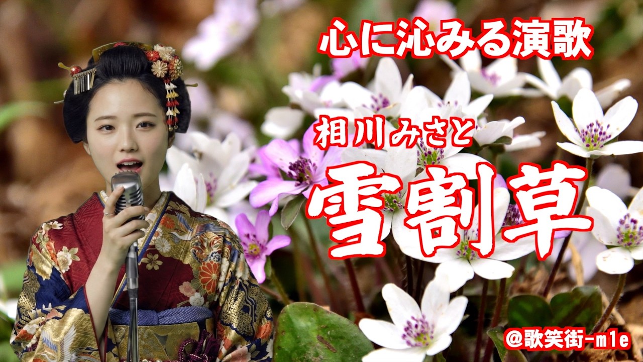 【雪割草】春を待つ雪割草のような切ない恋心　相川みさと　心に沁みる演歌