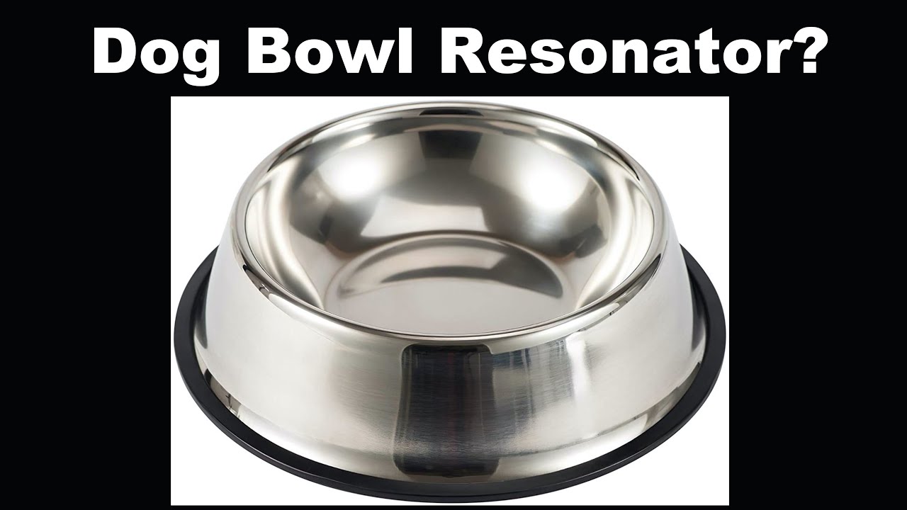 Dog Bowl Resonator?