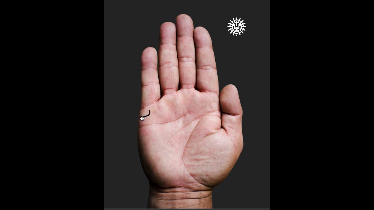 Happy Marriage Lines in Palmistry  #astrology#palmistry #palmreading