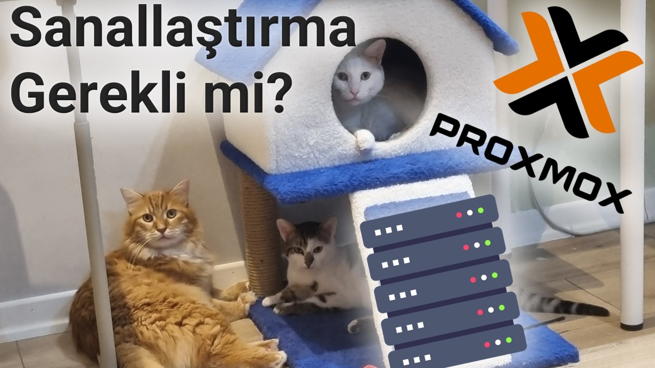 Sunucu Kurarken Sanallaştırmalı mı Sanallaştırmamalı mı?