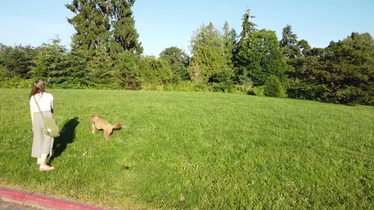 Summer 2022 - Pigeon Point