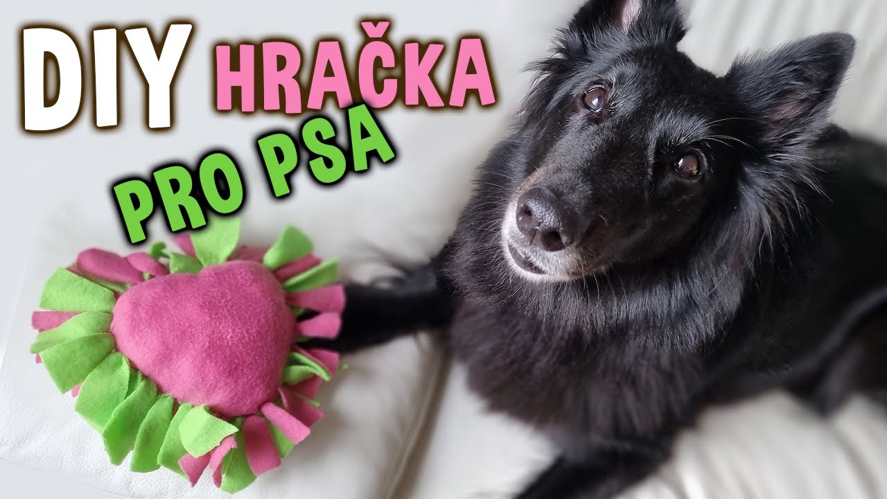 DIY Hračka pro psa ❤️ Flísové srdíčko | Jednoduchý návod | Psínovinky.cz 🐾