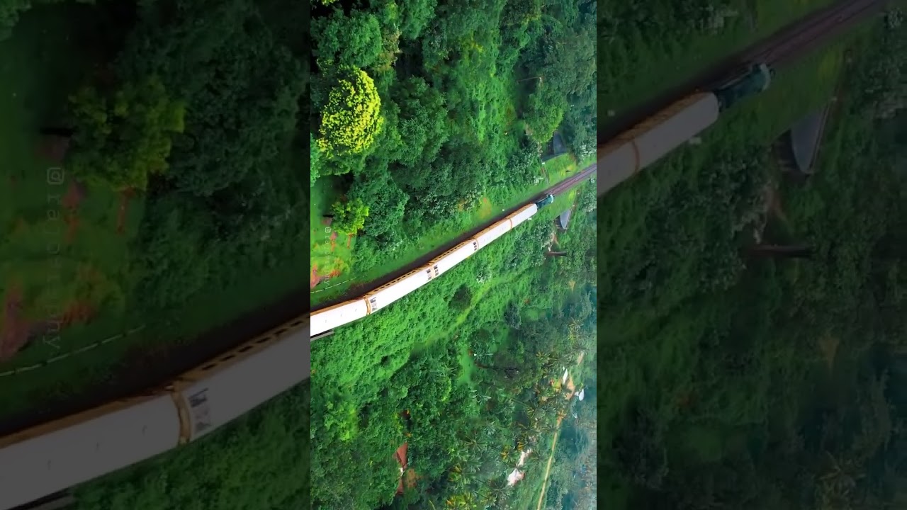 4K Free Stock Footages | #freevideosforyoutube  | video library |#freevideo#freevideosforyoutube