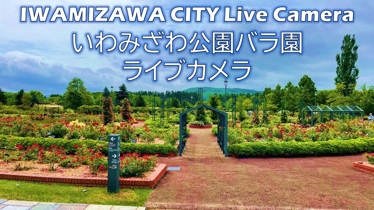 いわみざわ公園バラ園ライブカメラ