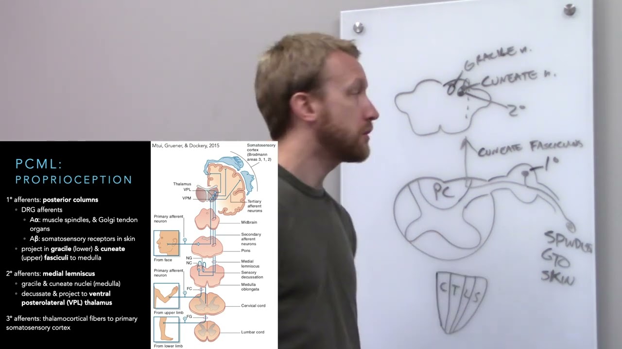 PT631 Lecture 9