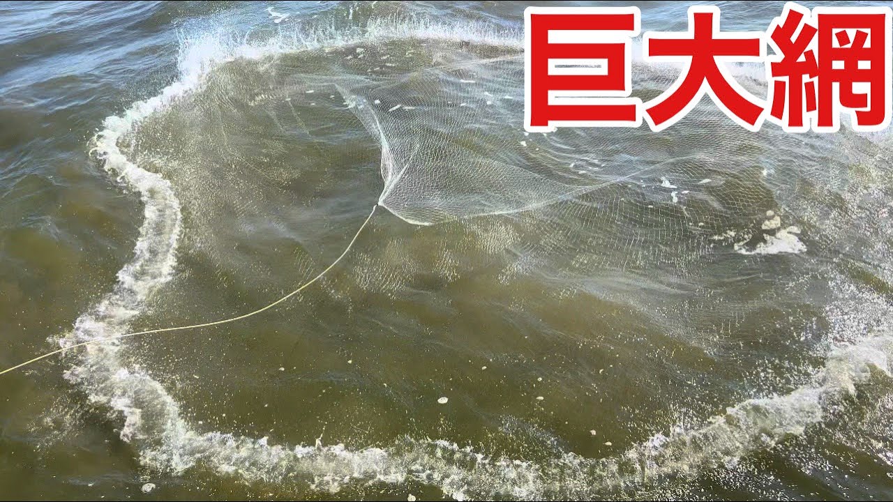 漁港で車2台分の巨大投網を投げて食べる