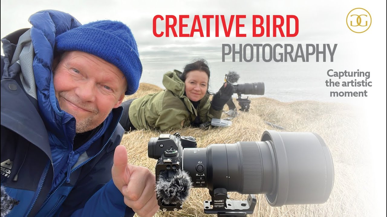CREATIVE BIRD PHOTOGRAPHY | Capturing Artistic Moments