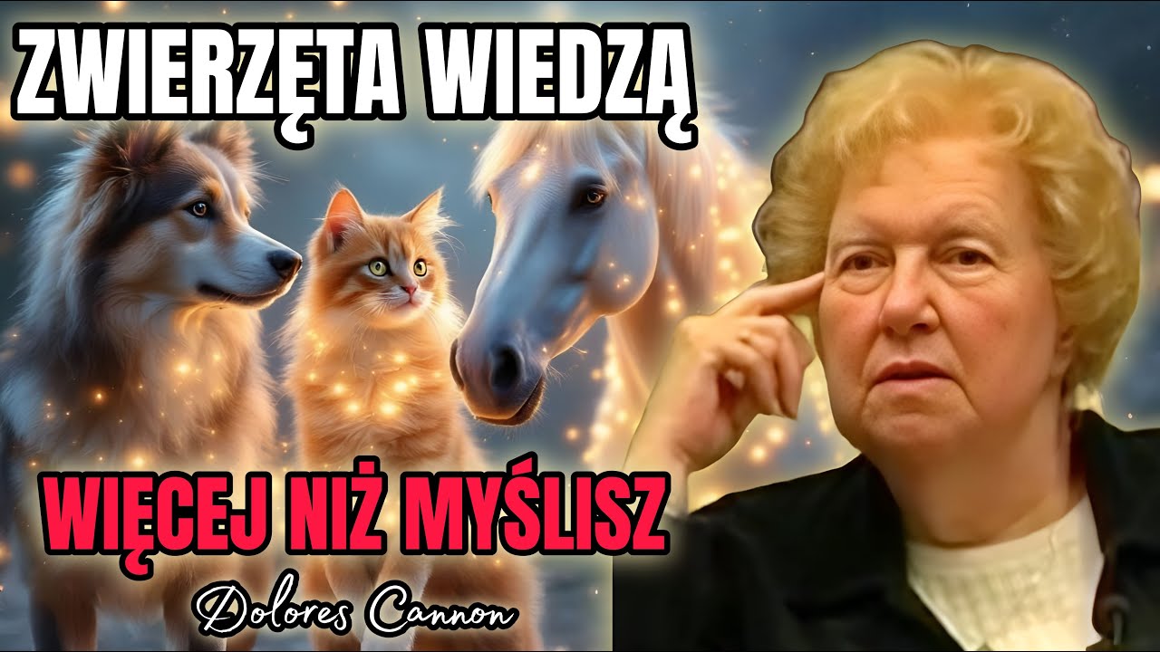 Kiedy zwierzę jest Twoim przewodnikiem dusz - Sekretna więź między człowiekiem a zwierzęciem.QHHT
