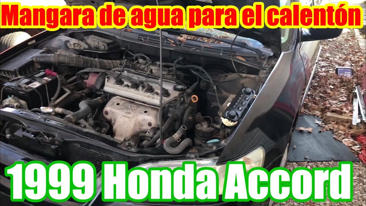 Manguera para el calentón del carro Honda Accord del 1999