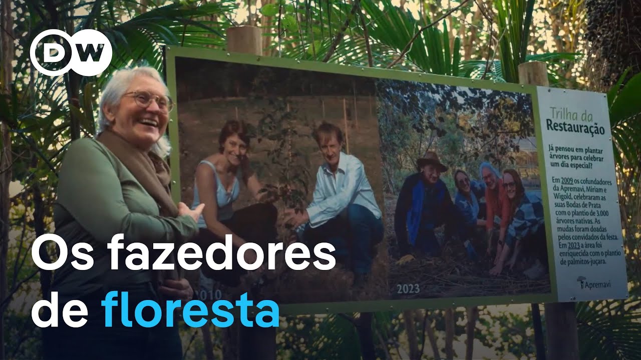A família que plantou 10 milhões de árvores no sul do Brasil | Documentário