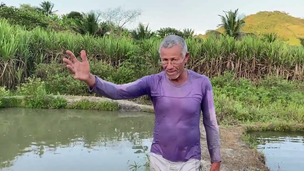 Profundidade correta para cria&ccedil;&atilde;o de Til&aacute;pia!