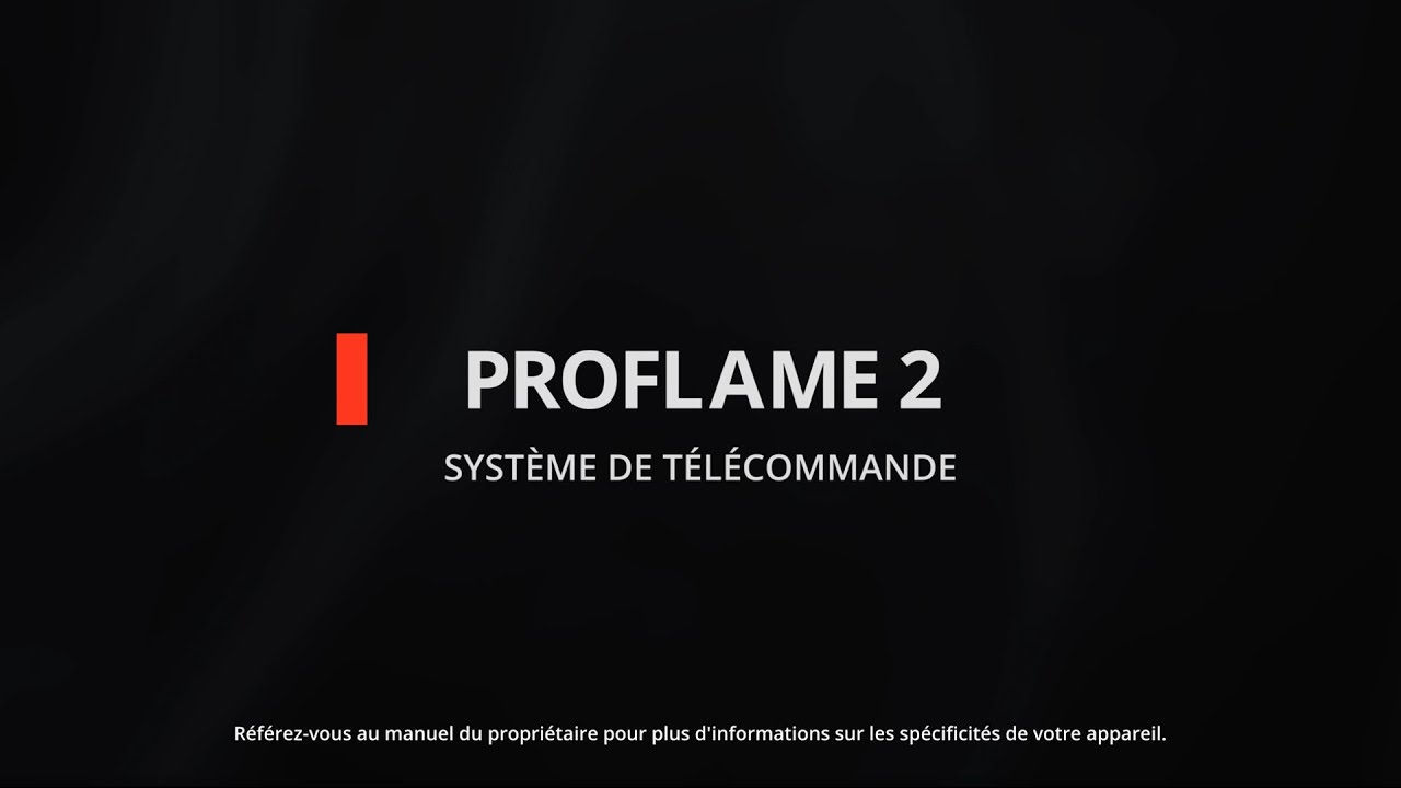 PROFLAME 2 | SYSTÈME DE TÉLÉCOMMANDE