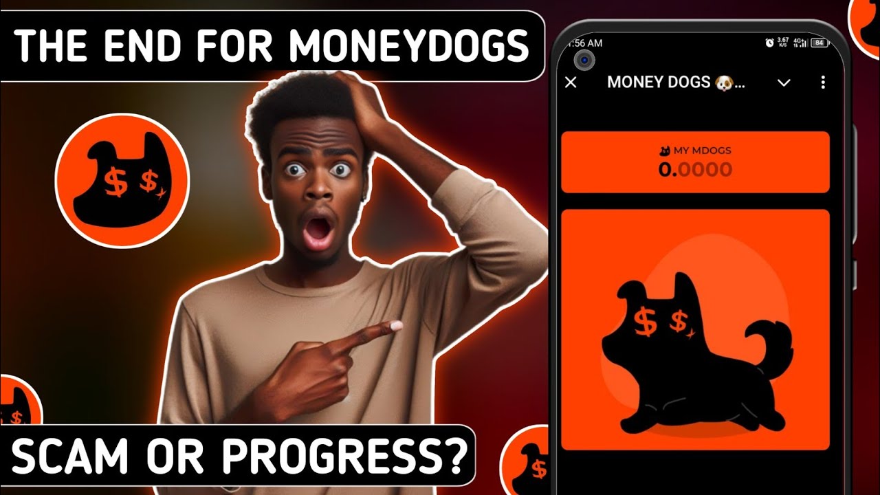 Shocking Update! Money Dogs Rebrands X & Telegram &ndash; Scam or Real Progress?