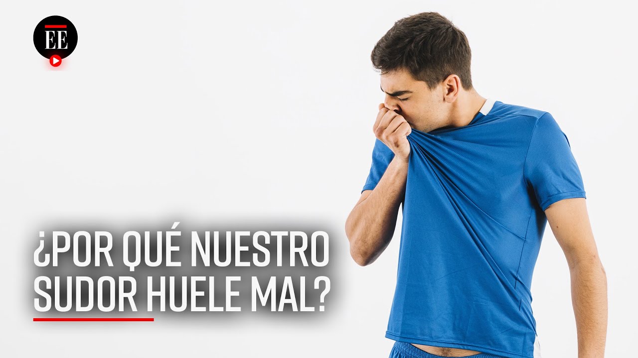Sudor y mal olor: la ciencia responde esta inc&oacute;gnita nunca antes resuelta - El Espectador
