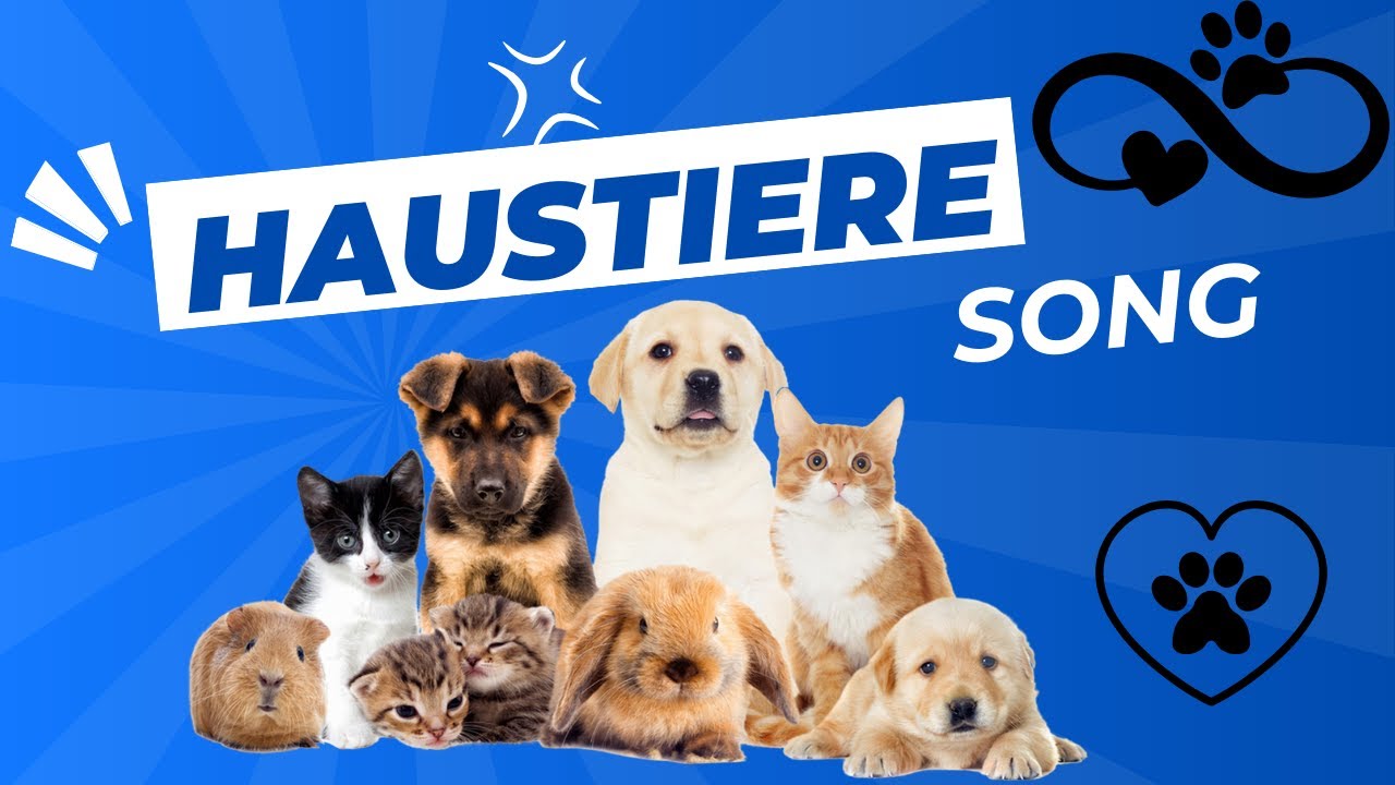 Haustiere SONG mit Text zum Mitsingen Kinderlieder auf Deutsch