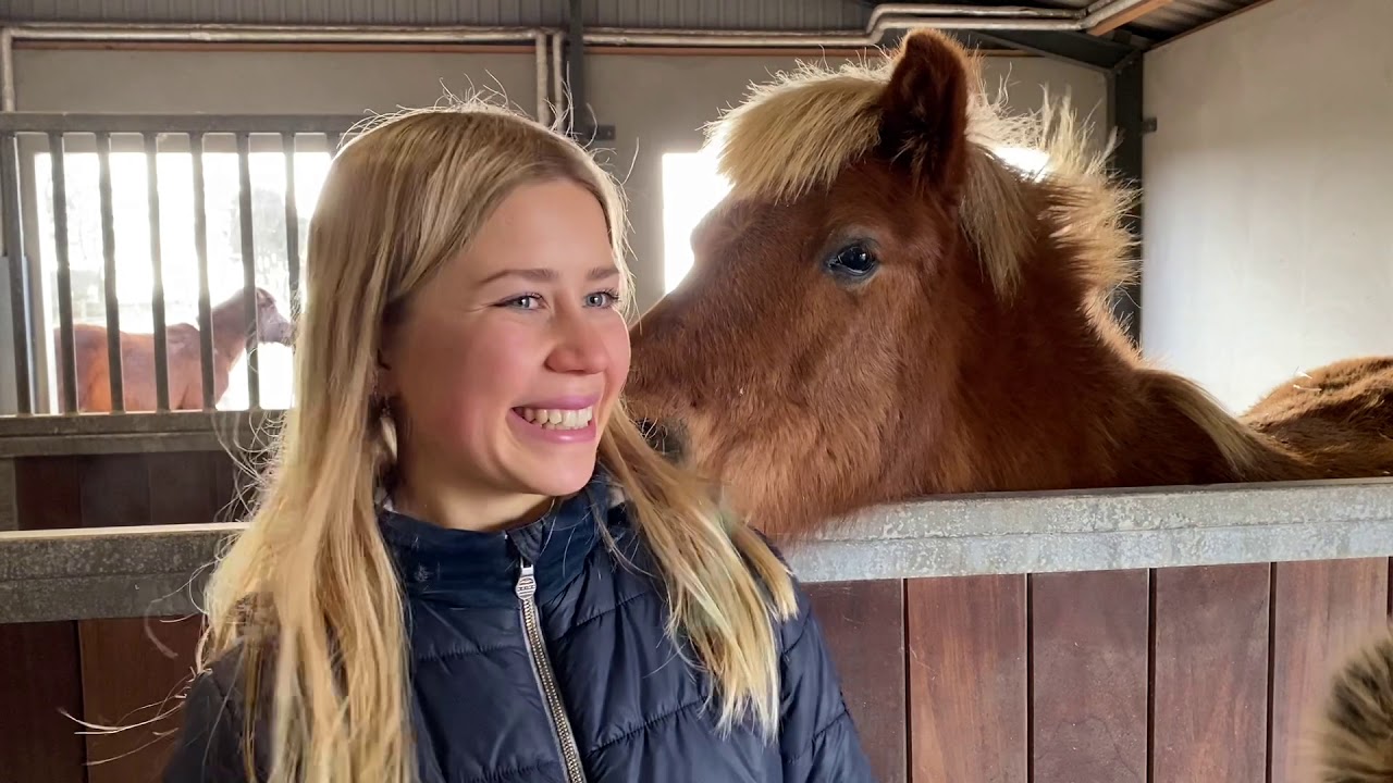 eMagasinet Islandsk Hest besøger Amalie Reiche der arbejder for Alberte Møller