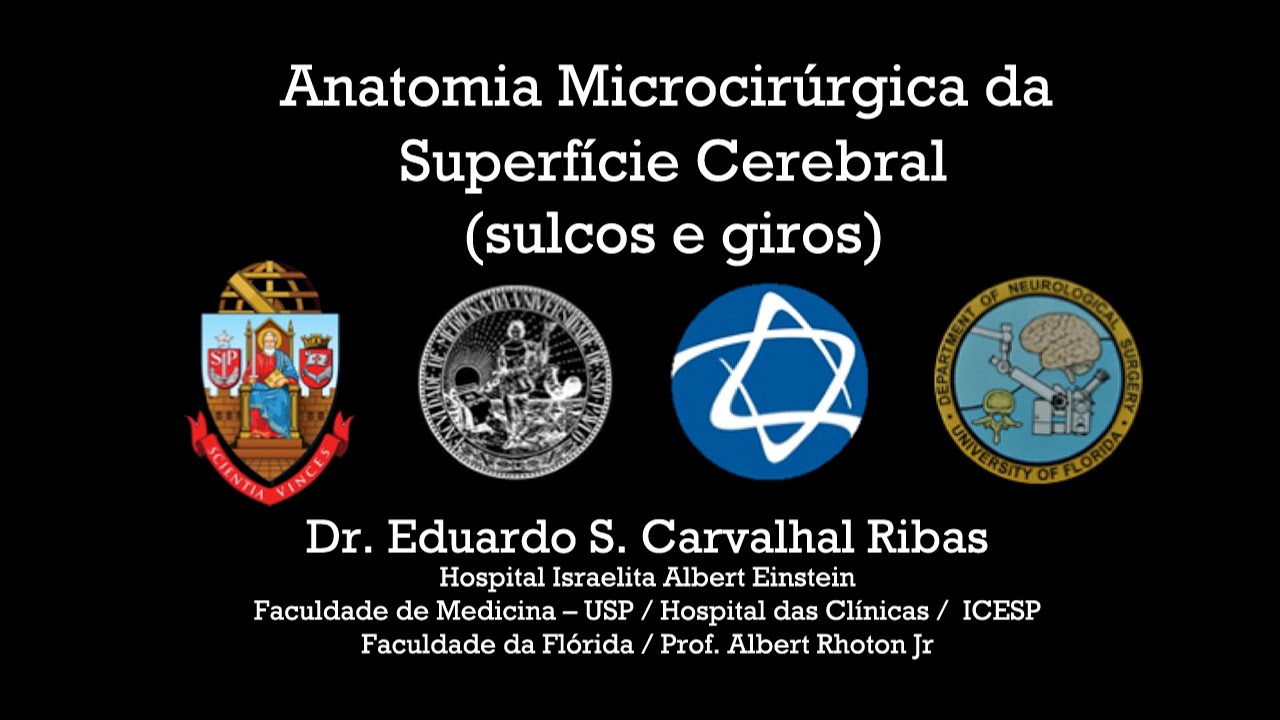 Neuroanatomia da Superfície Cerebral | Dr. Eduardo Carvalhal Ribas