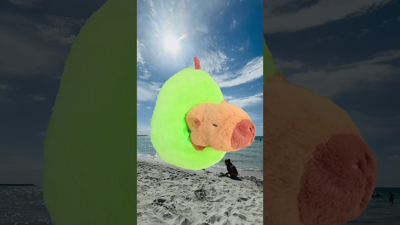 Capybara is on vacation on Sardinian island 