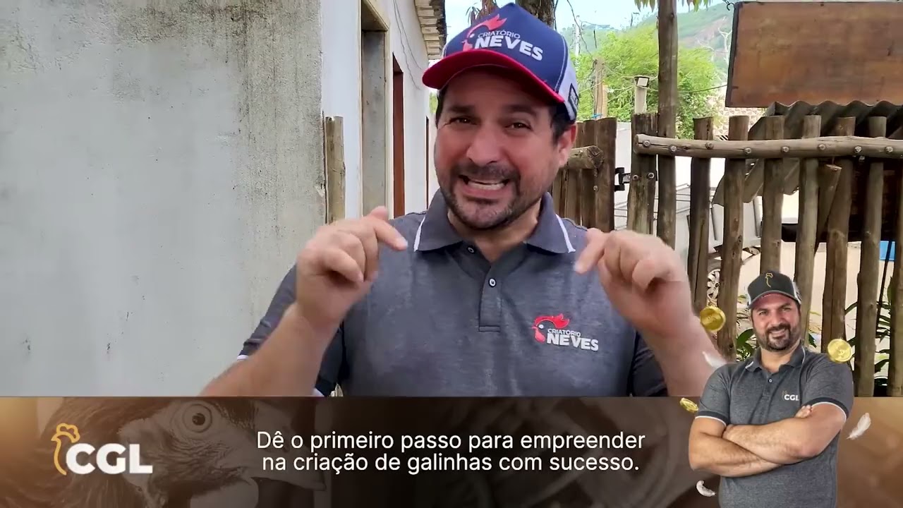 😮 Como criar Galinhas Ornamentais e gerar LUCROS R&Aacute;PIDOS: Descubra o segredo da Fabiana!