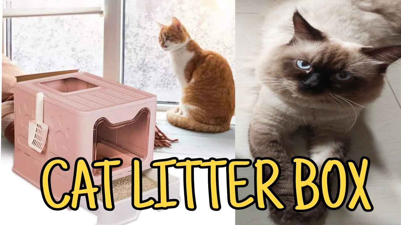 Unboxing Foldable Large Semi- Enclosed Cat Litter Box with Drawer for my cats/ Joy and the Cats