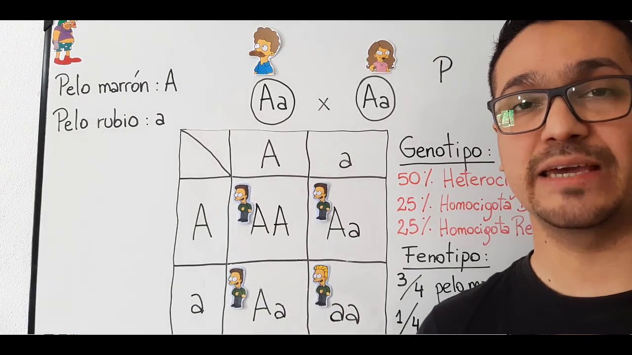 Leyes de Mendel