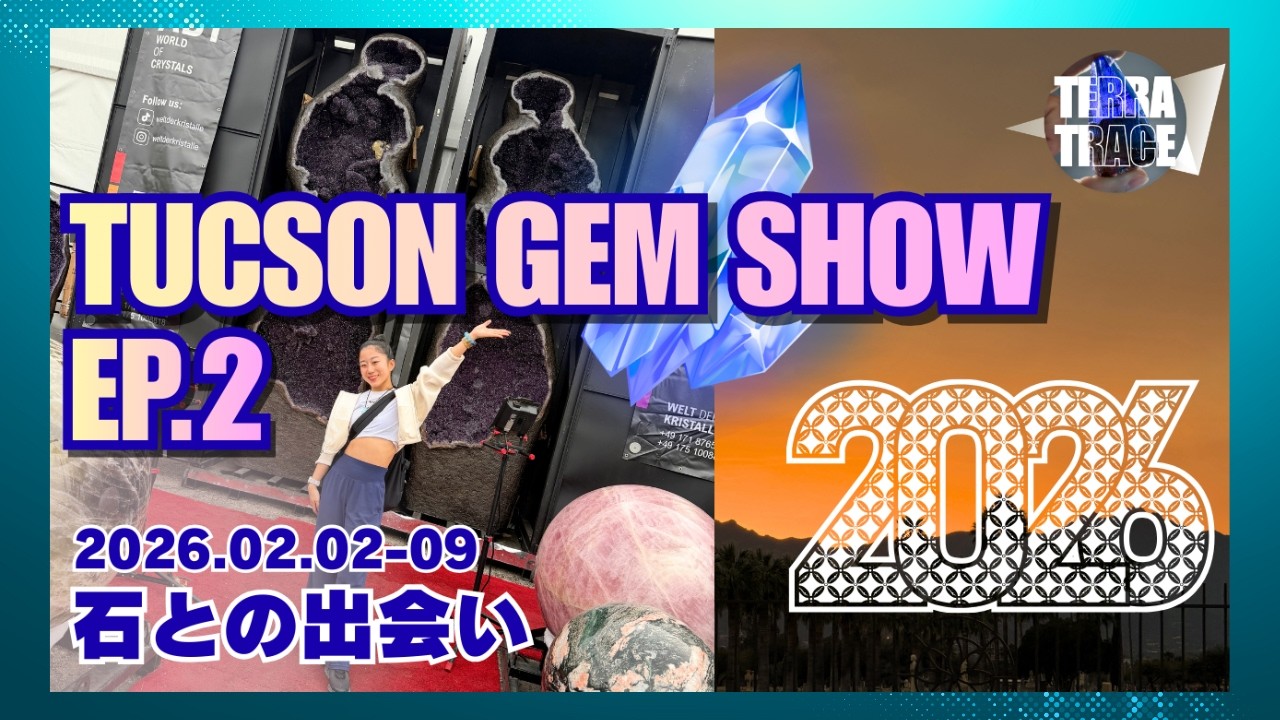 【世界最大級】ツーソン ミネラルショー 2026 Gem show in Tucson ep 2
