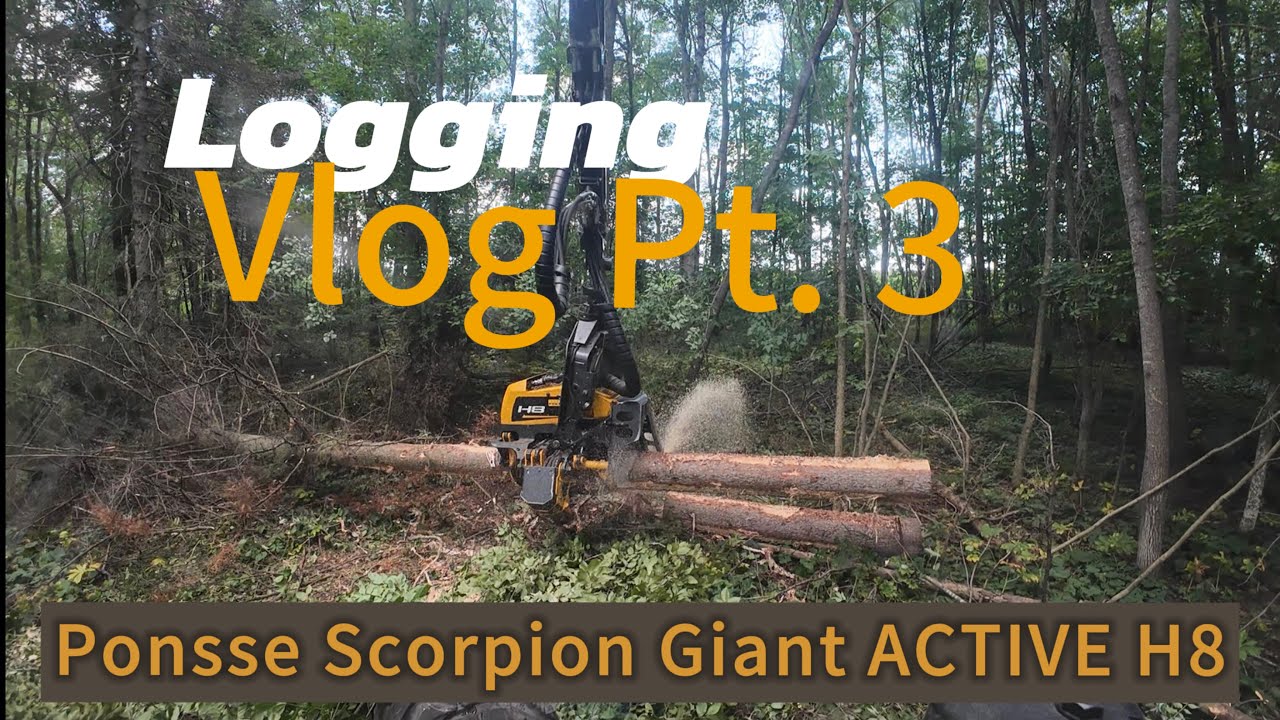 Ponsse Scorpion Giant | Active H8 | Hardwood | Logging Vlog Pt. 3 