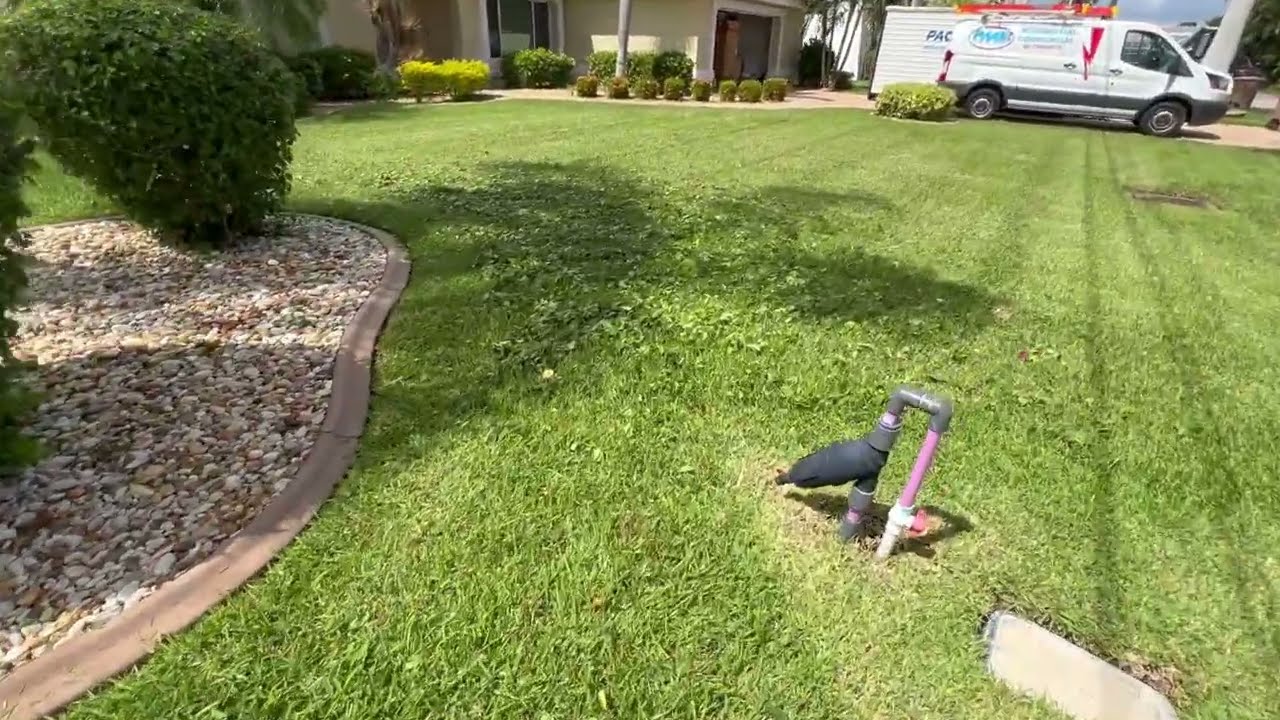 COMO USAR UNA SOPLADORA DE HOJAS BLOWER