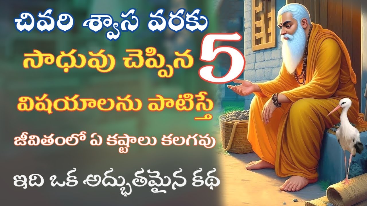 సాధువు చెప్పిన 5విషయాలు|Moral Stories|Devotional Stories|Karma|Sanatana Vedika|Telugu Stories|Dharma