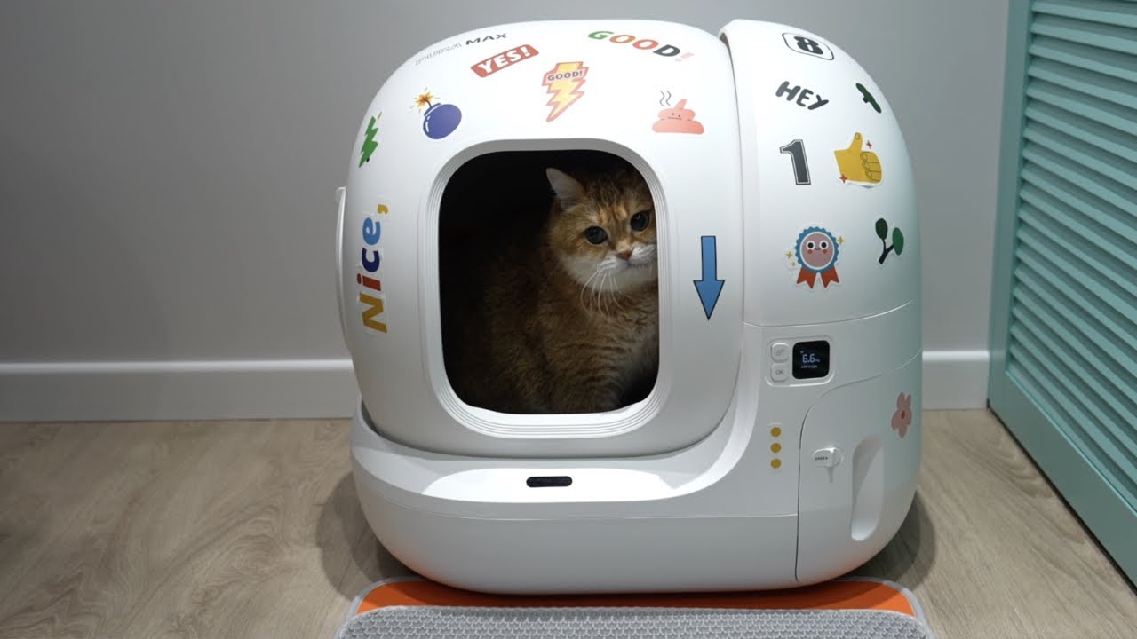 New Self-Cleaning Cat Litter Box for Hosico - PETKIT PURA MAX
