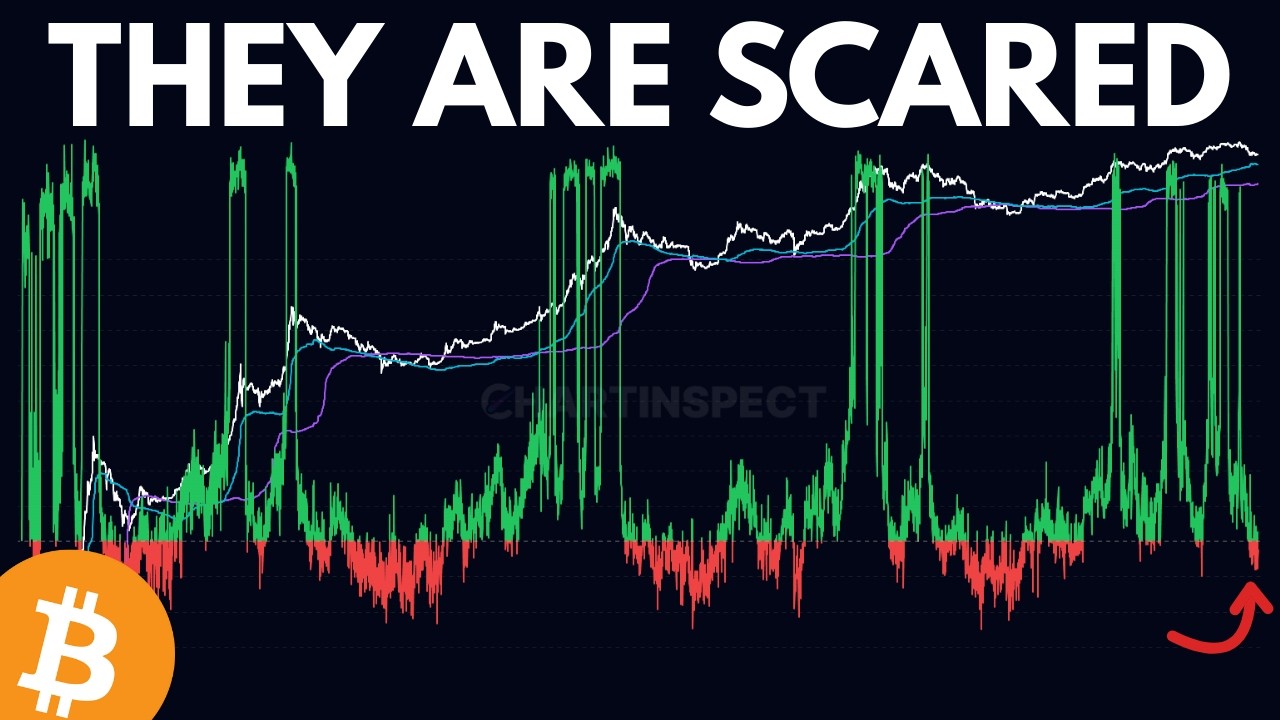 Bitcoin Long-Term Holders Are Selling at a Loss (What the Data Shows)