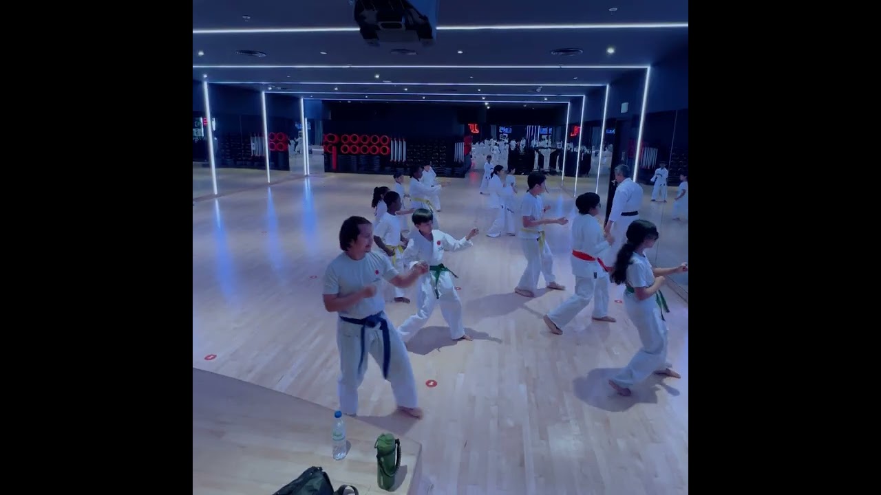Karate training for beginners #karate 