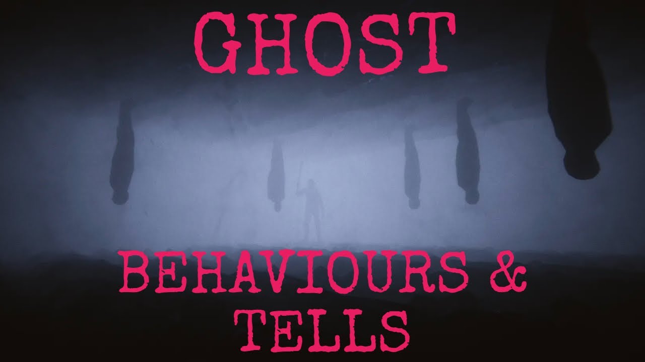 Explaining How I Identify Ghosts | Phasmophobia Gameplay for Beginners