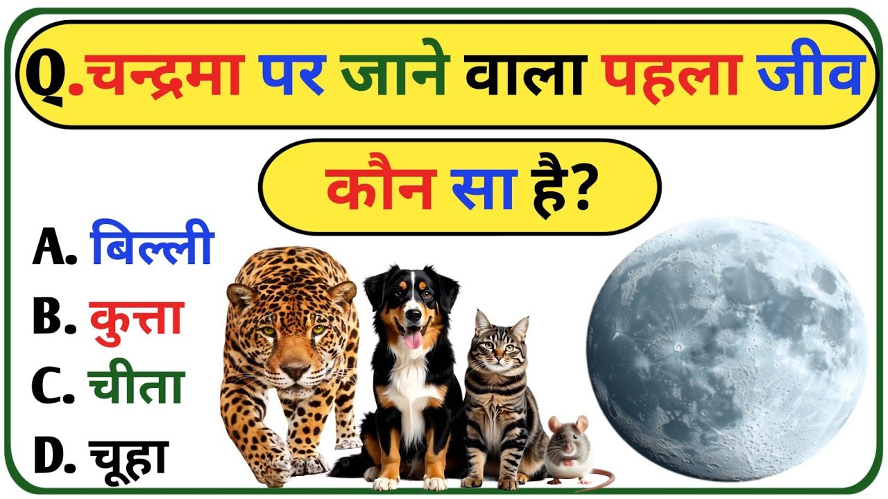 GK Question || GK In Hindi || GK Question And Answer || GK Quriz || GK KARAN ||