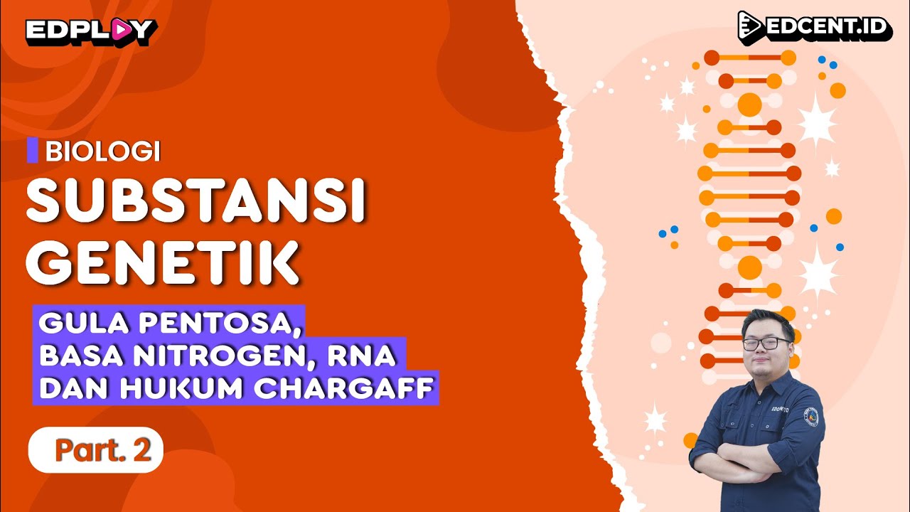 Materi Biologi: Substansi Genetik | Gula Pentosa, Basa Nitrogen, RNA & Hukum Chargaff | Part 2