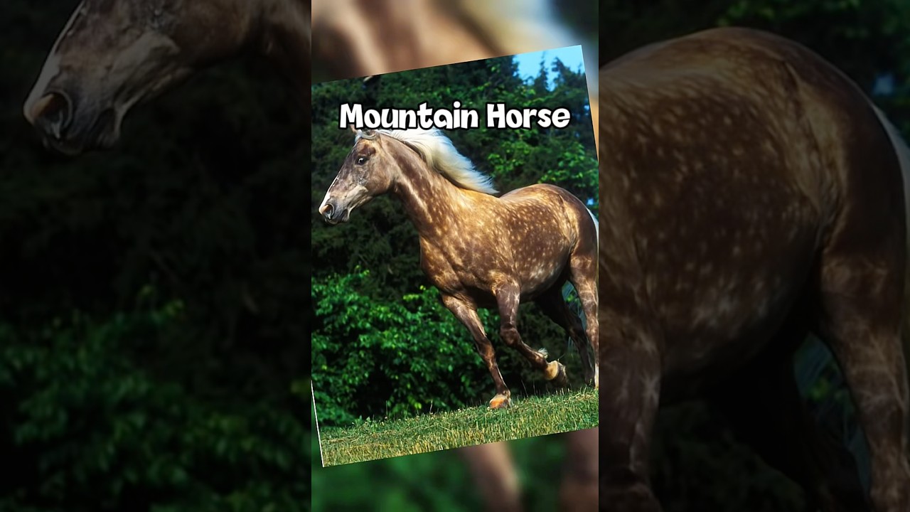 Star Stable Horses But In Real Life Star Stable Edit!😱 / Sso Short / Sso Edit #sso #starstable