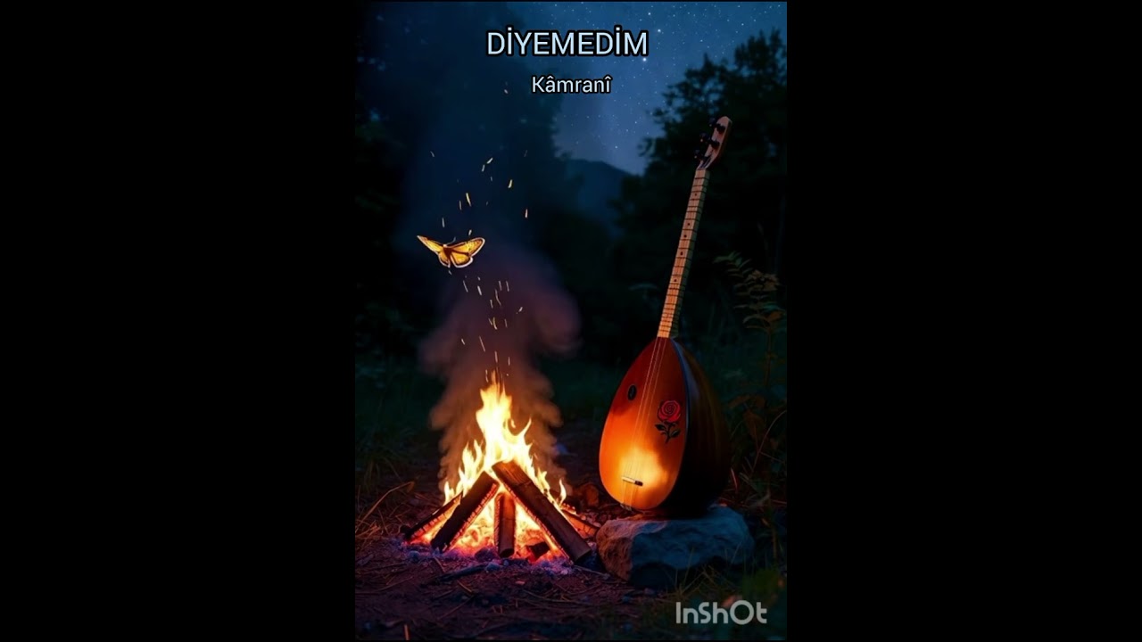 DİYEMEDİM 