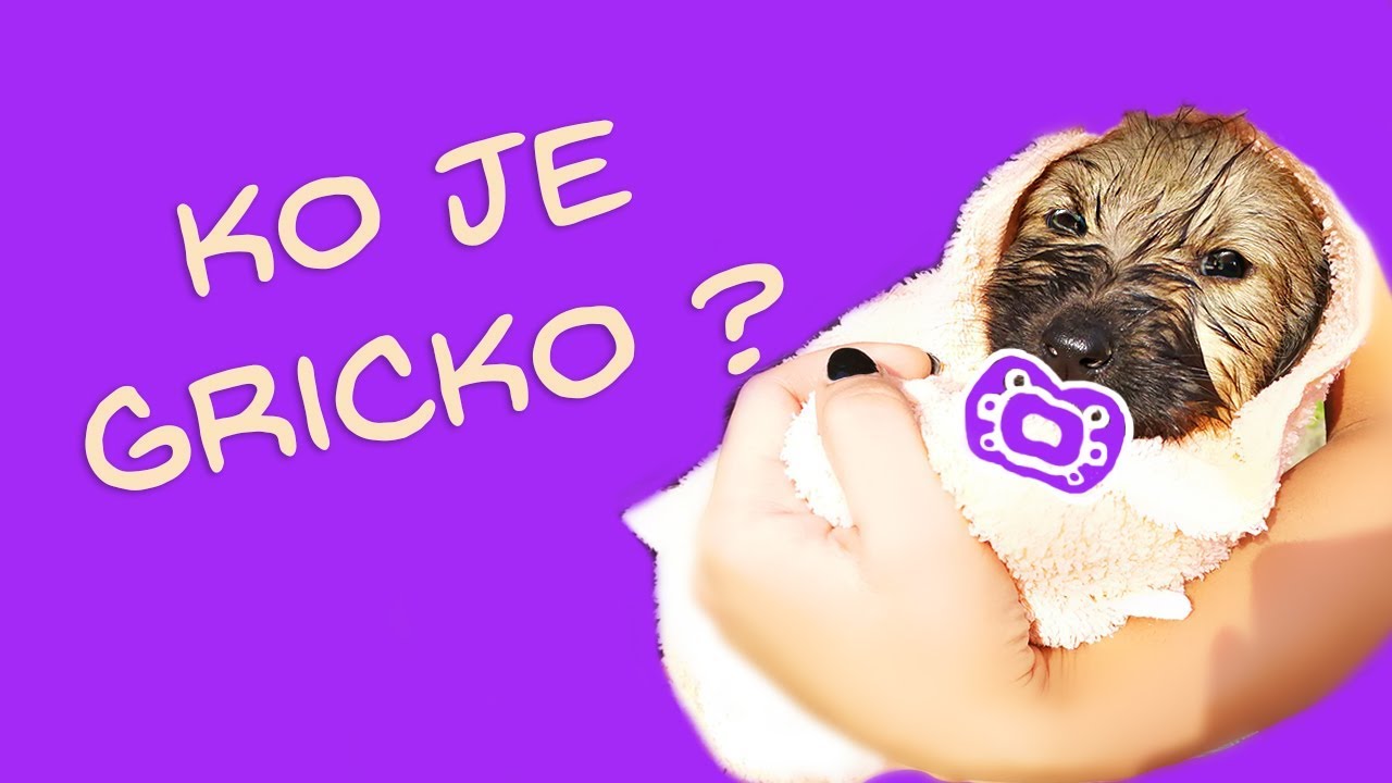 GRICKO (NOVI ČLAN PORODICE)
