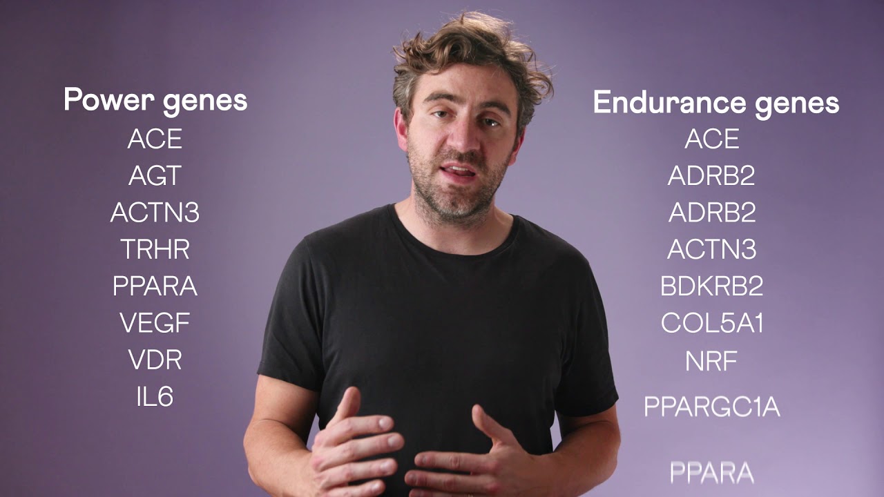 DNAfit | Fitness report explained
