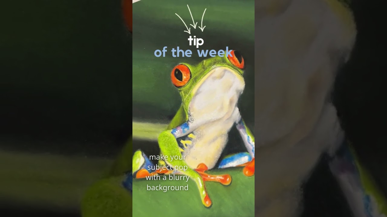 Quick Art Tips (Plus a Free Pastel Basics Beginners Series!) 