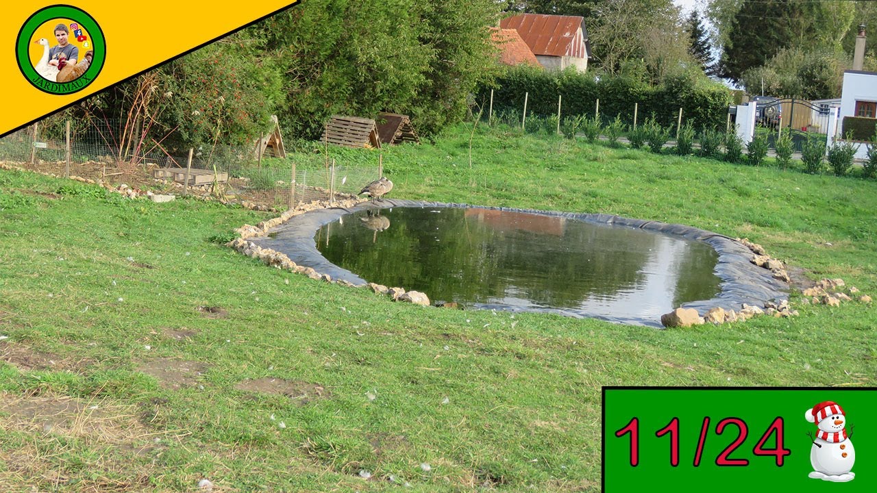 COMMENT J'AI FABRIQUÉ MES BASSINS !?