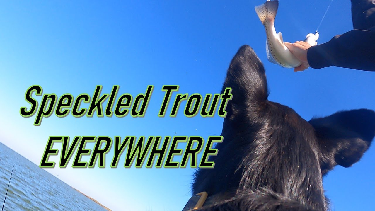 Speckled Trout Fishing in Anahuac, Texas. Crazy fish catching day!
