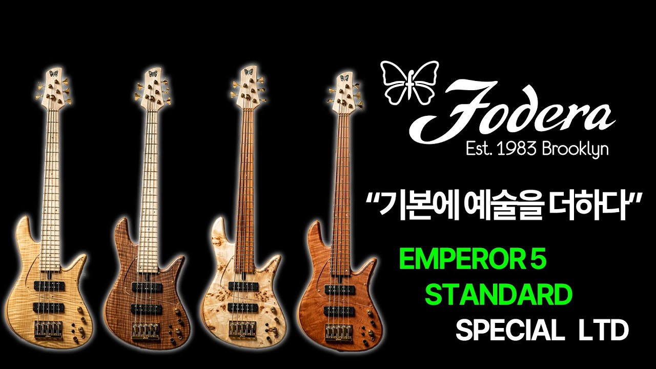 «Добавление искусства к основам» I 「Fodera Emperor 5 Standard Special LTD」
