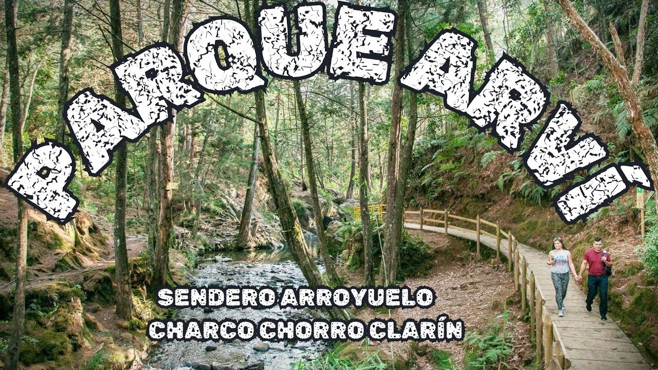 🌿🌊Explorando el Parque Arví: Senderismo y Naturaleza en Medellín 🌲🏞️