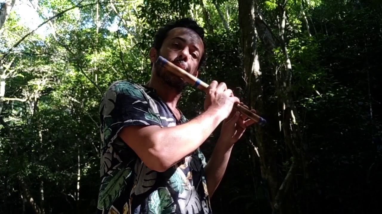 Pífano A - Descobrindo melodias na floresta