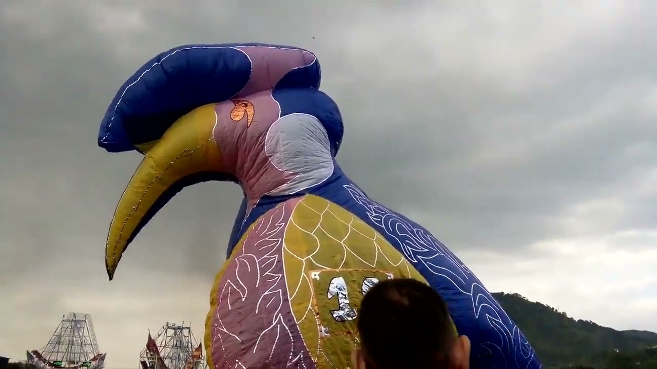 2016ခုနှစ် က ကြယ်စင်လူ‌ငယ် နေ့လွှတ်အရုပ်