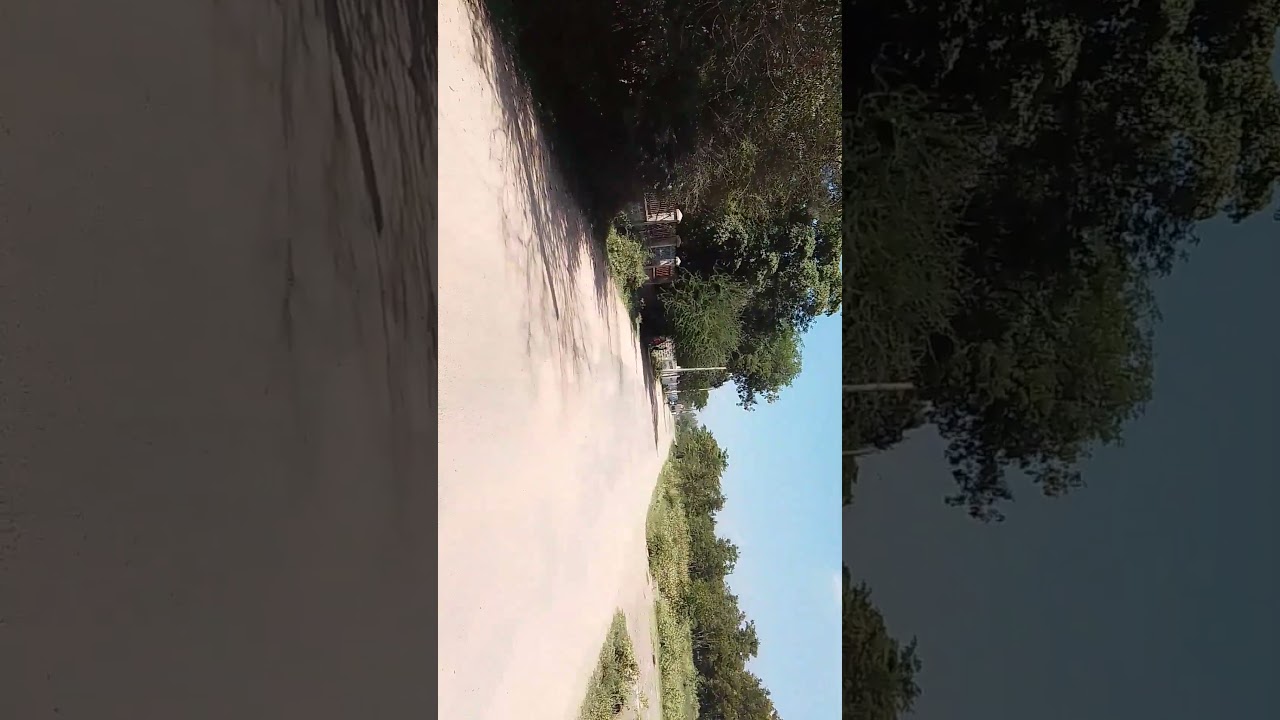 #viral
