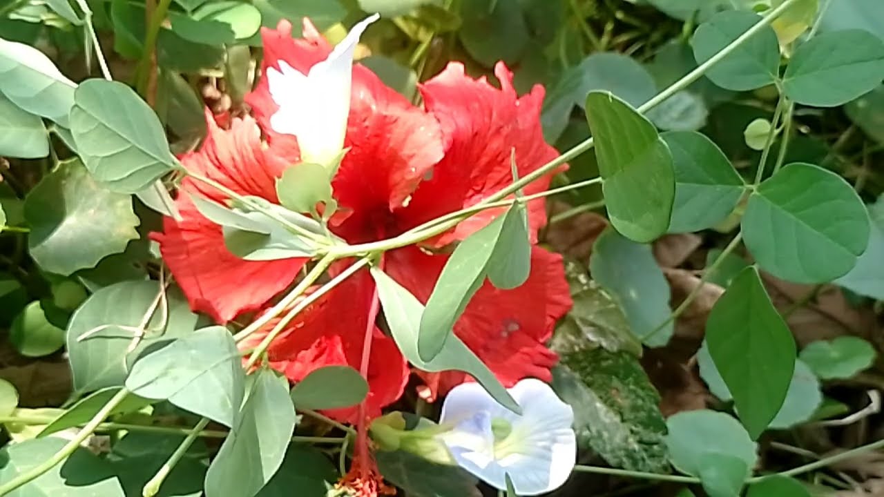 சாமுண்டேஸ்வரி இடம் ஆதாரத்தை காட்டிய கார்த்திக் 5 Mar