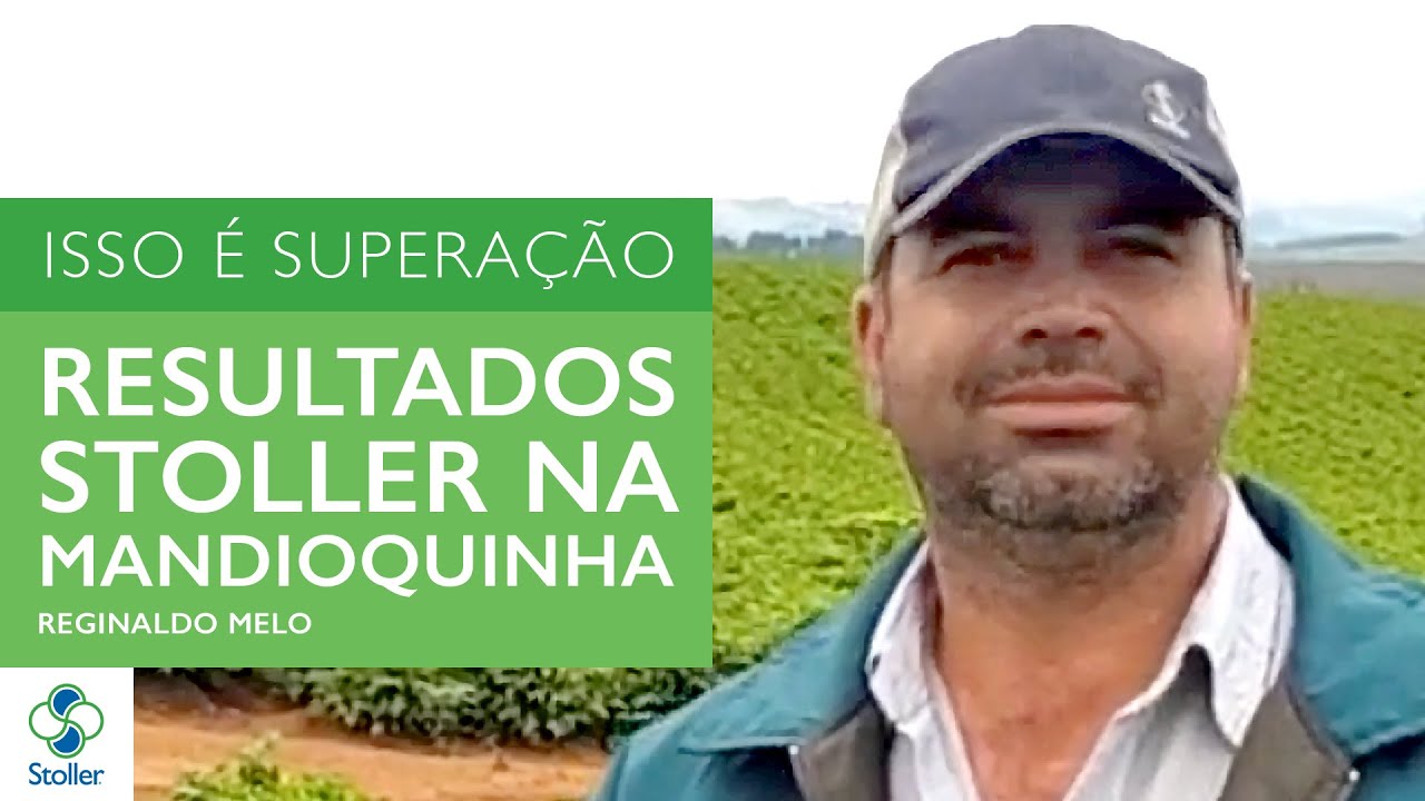 Como melhorar resultados na lavoura de Mandioquinha | ISSO É SUPERAÇÃO 🌱 Depoimento Reginaldo