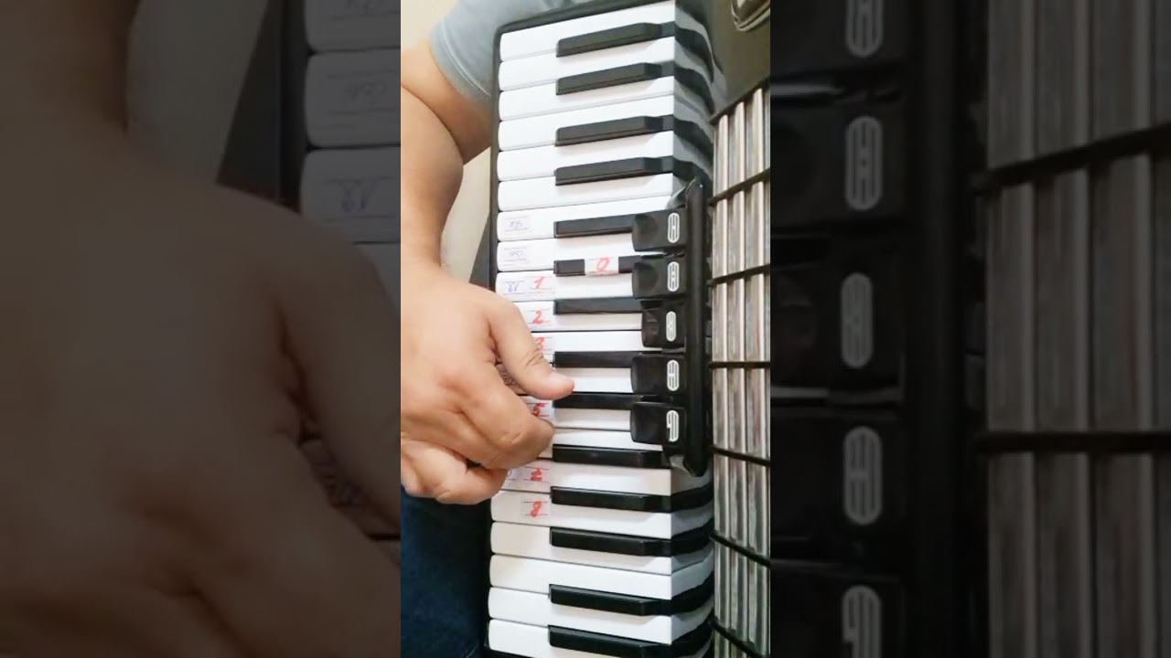 АККОРДЕОН ОНЛАЙН КУРС #music #онлайн #accordionclass #аккордеон